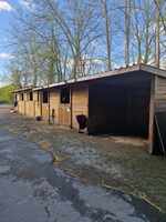 Boxes en bois avec aire de pansage